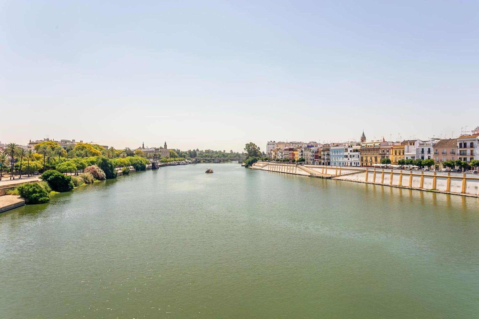 Sunterrace Loft-Triana'S Star, 10' From City Center! 塞维利亚 外观 照片